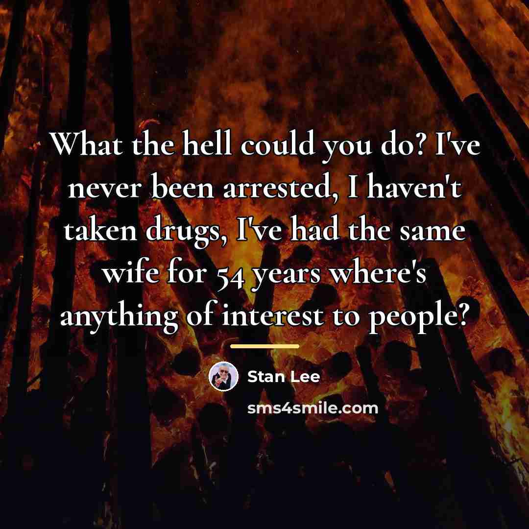 “What the hell could you do? I've never been arrested,…” quote by Stan Lee