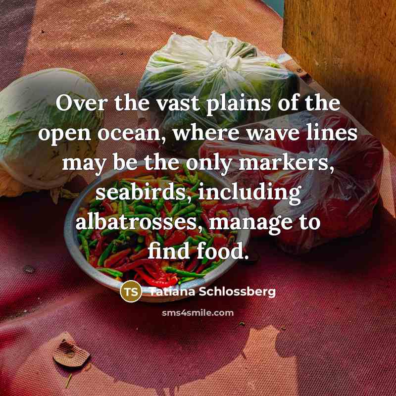 “Over the vast plains of the open ocean, where wave…” quote by Tatiana Schlossberg