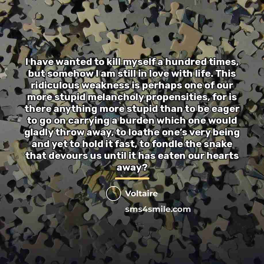 “I have wanted to kill myself a hundred times, but…” quote by Voltaire