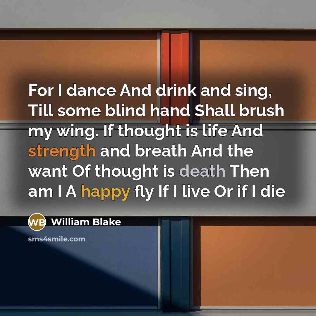 “For I dance And drink and sing, Till some blind…” quote by William Blake