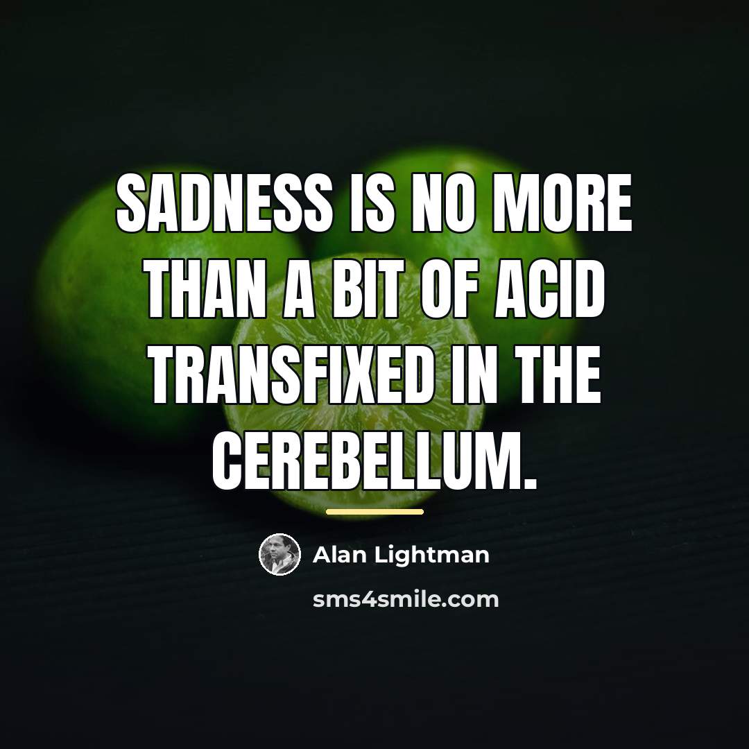 “Sadness is no more than a bit of acid transfixed…” quote by Alan Lightman