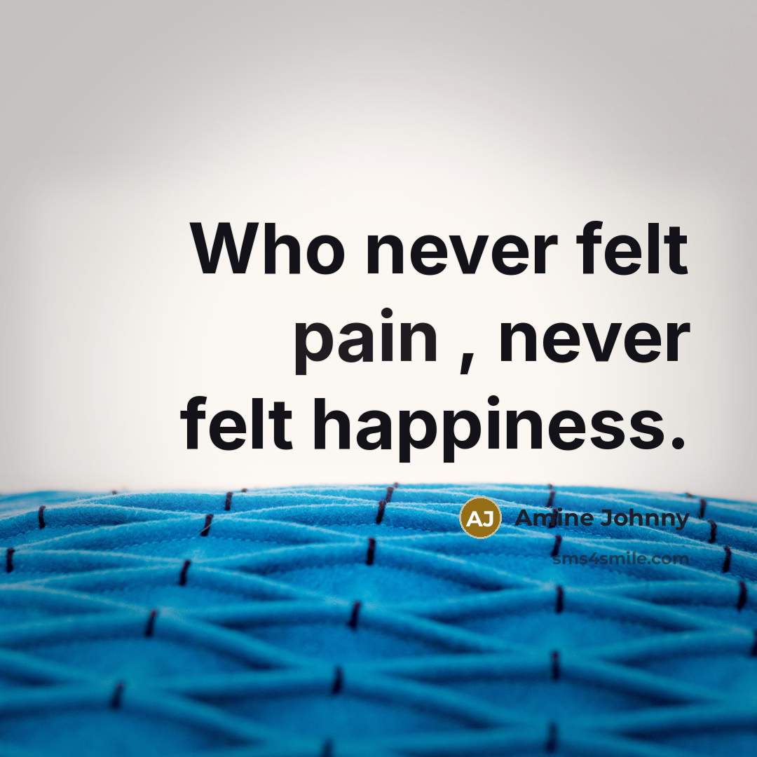 “Who never felt pain , never felt happiness.…” quote by Amine Johnny