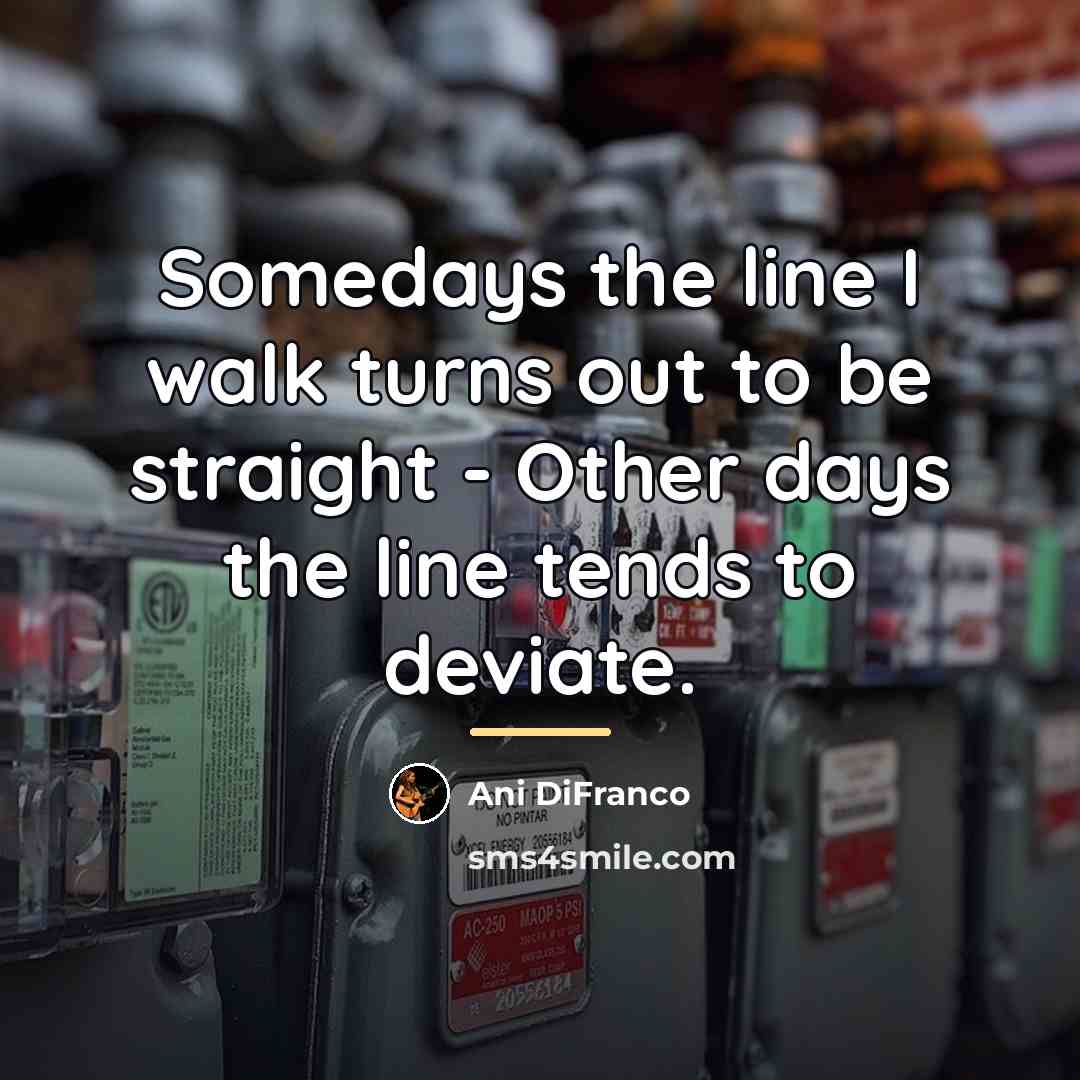 “Somedays the line I walk turns out to be straight…” quote by Ani DiFranco
