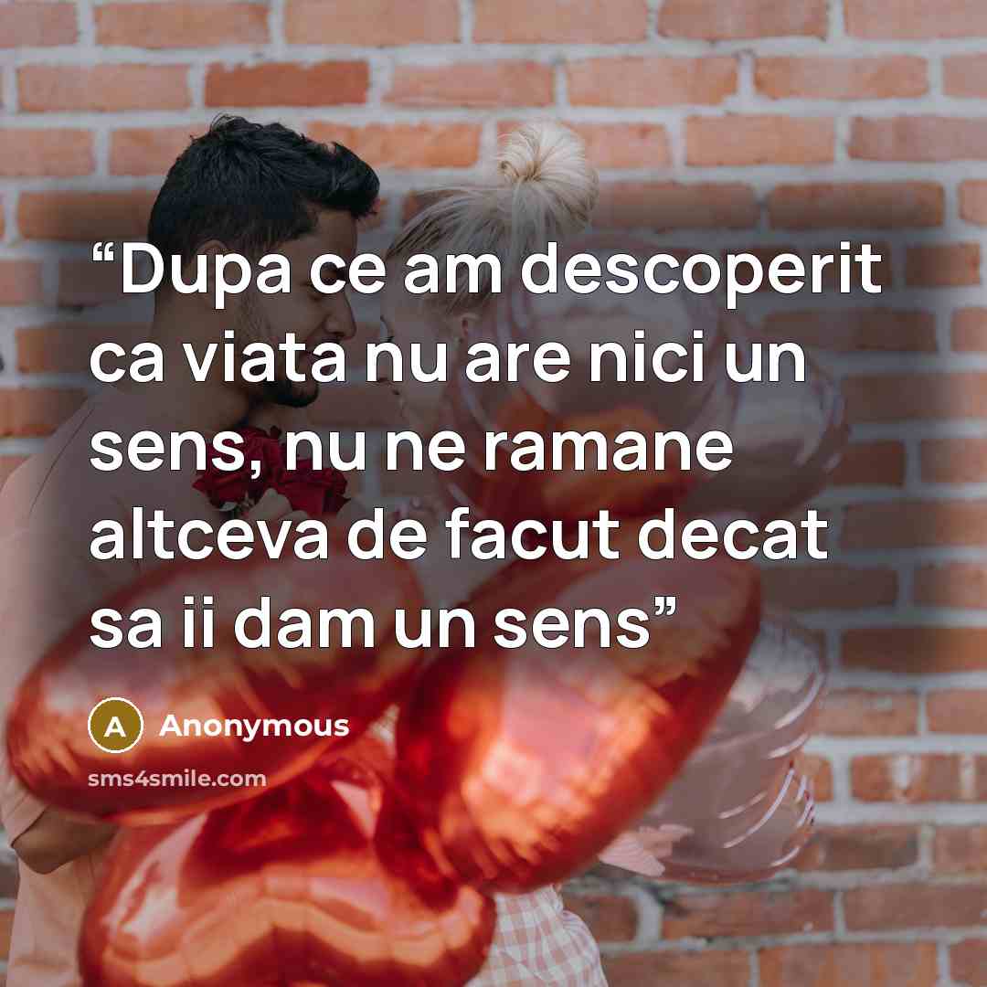 “Dupa ce am descoperit ca viata nu are nici un sens, nu ne ramane altceva de facut decat sa ii dam un sens” quote by Anonymous
