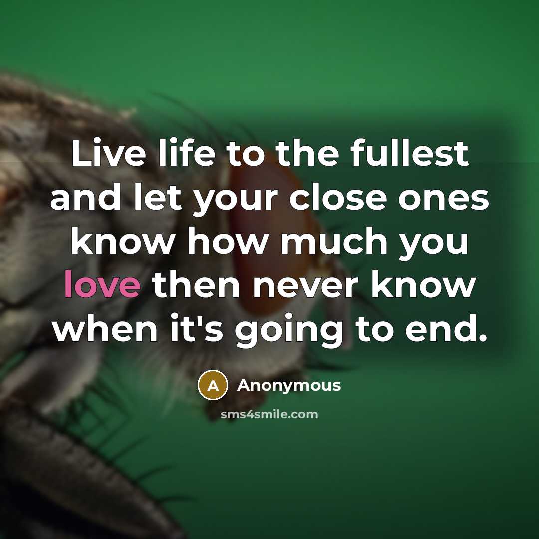 “Live life to the fullest and let your close ones…” quote by Anonymous