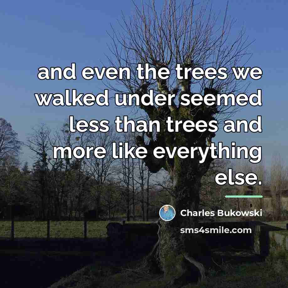 “and even the trees we walked under seemed less than…” quote by Charles Bukowski