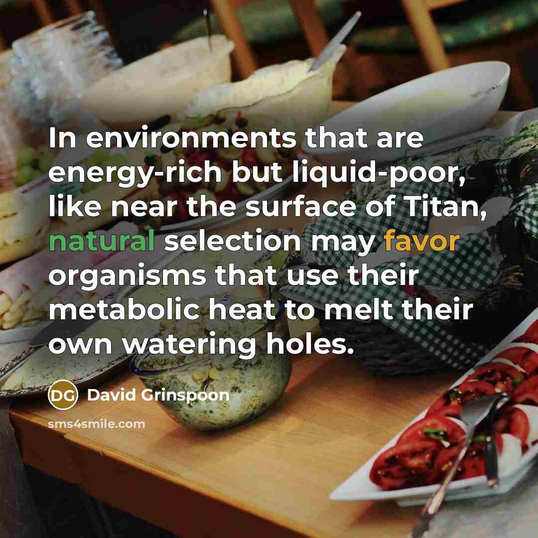 “In environments that are energy-rich but liquid-poor, like near the…” quote by David Grinspoon