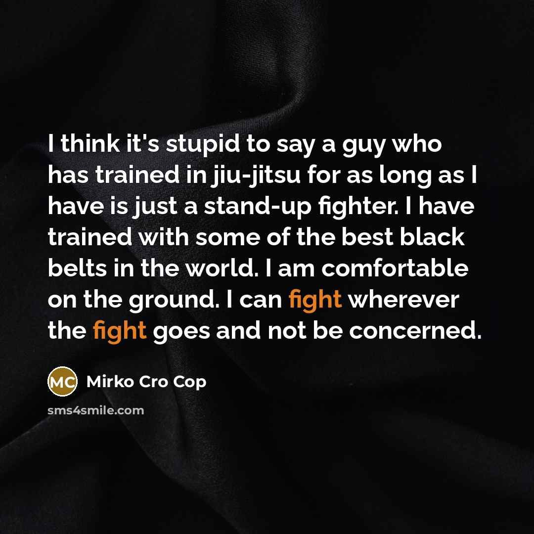 “I think it's stupid to say a guy who has…” quote by Mirko Cro Cop