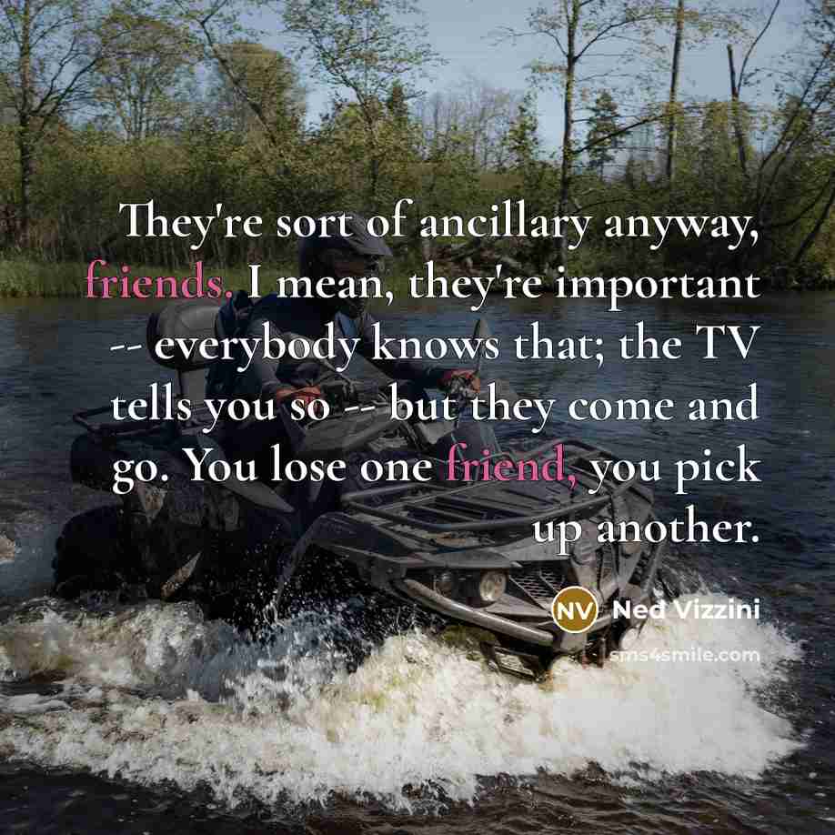 “They're sort of ancillary anyway, friends. I mean, they're important…” quote by Ned Vizzini