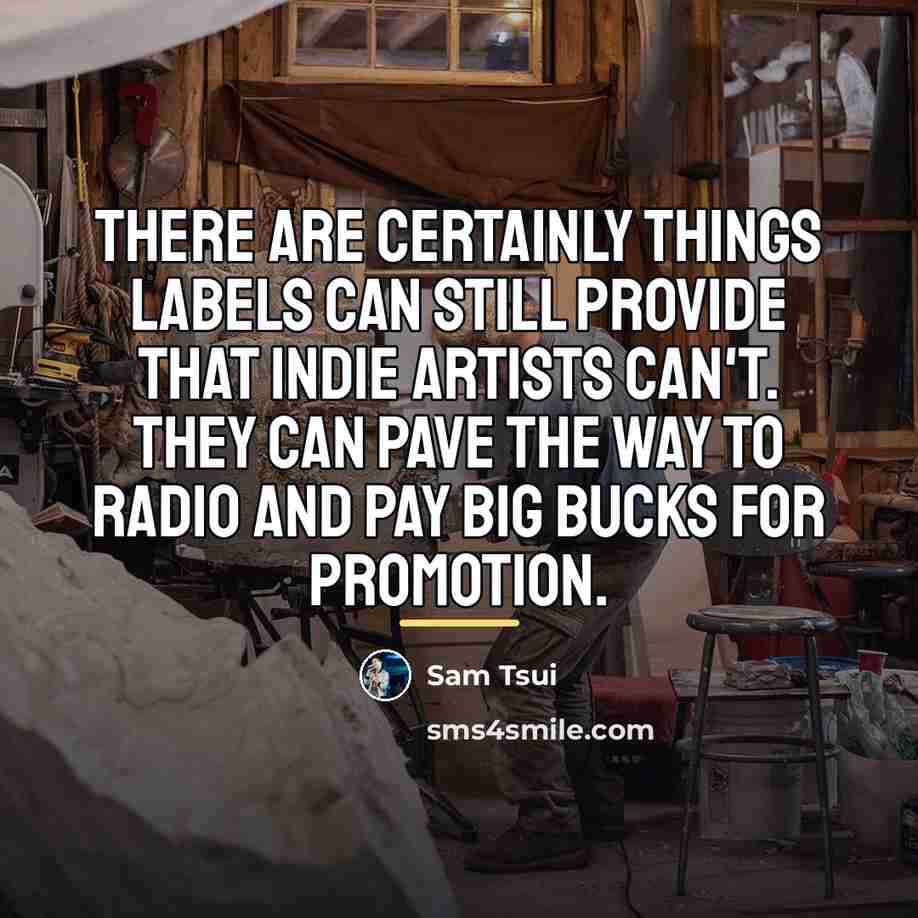 “There are certainly things labels can still provide that indie…” quote by Sam Tsui
