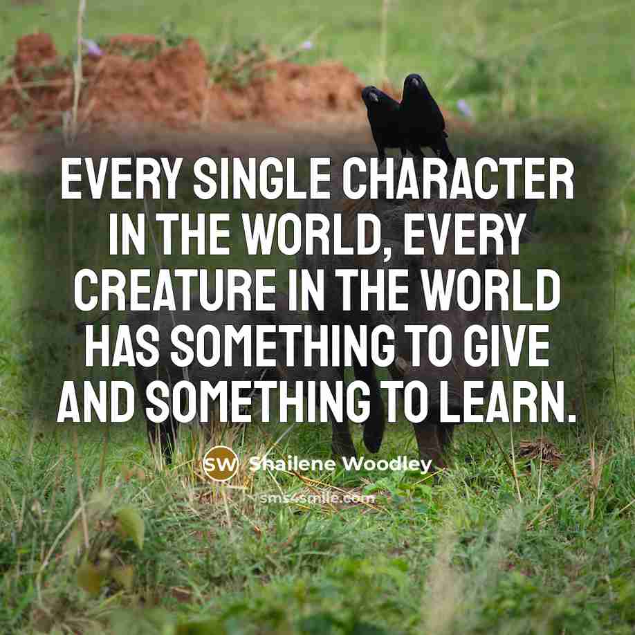 “Every single character in the world, every creature in the…” quote by Shailene Woodley