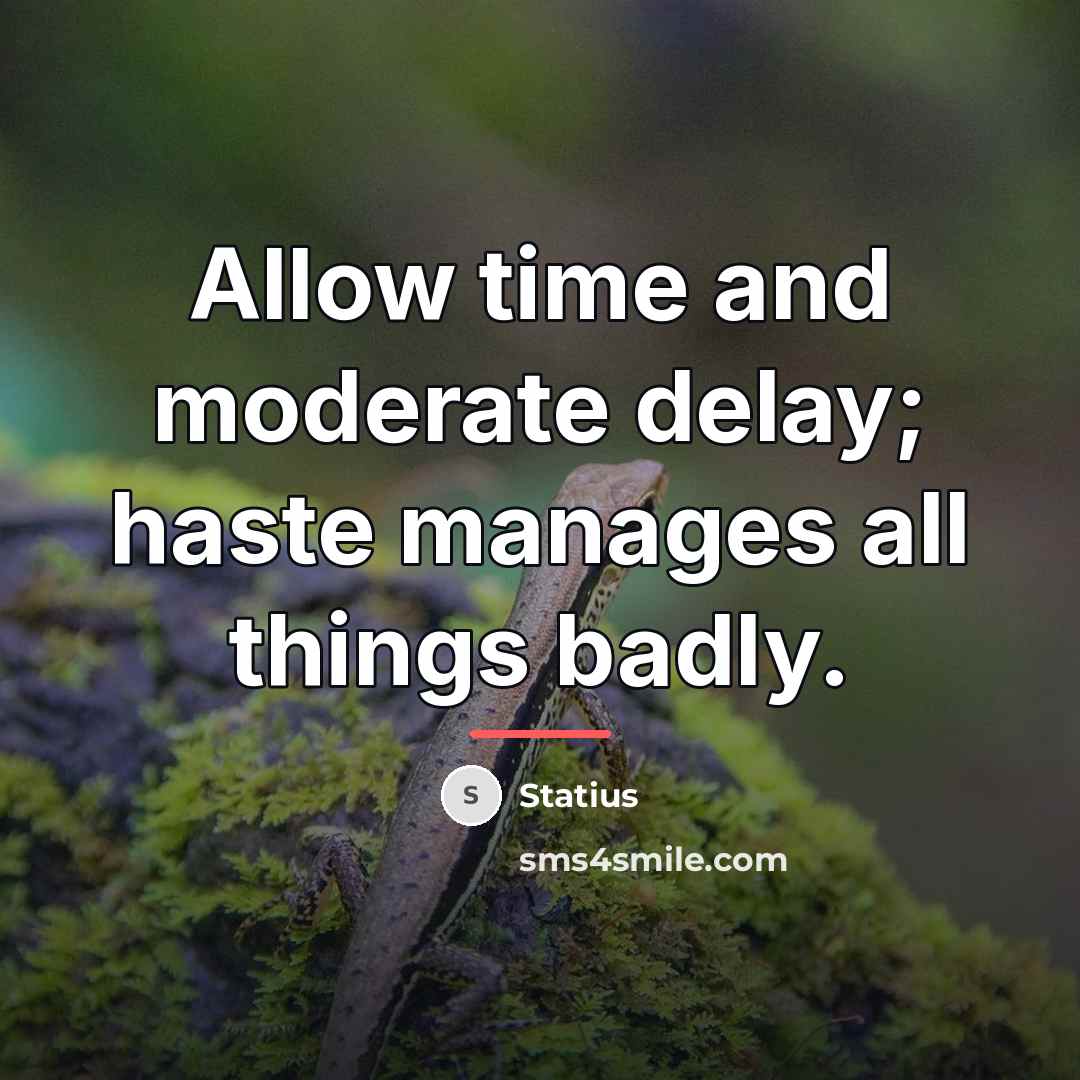 “Allow time and moderate delay; haste manages all things badly.…” quote by Statius