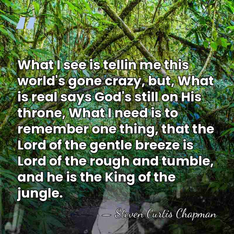 What I see is tellin me this world's gone crazy, but, What&hellip; - Steven Curtis Chapman
