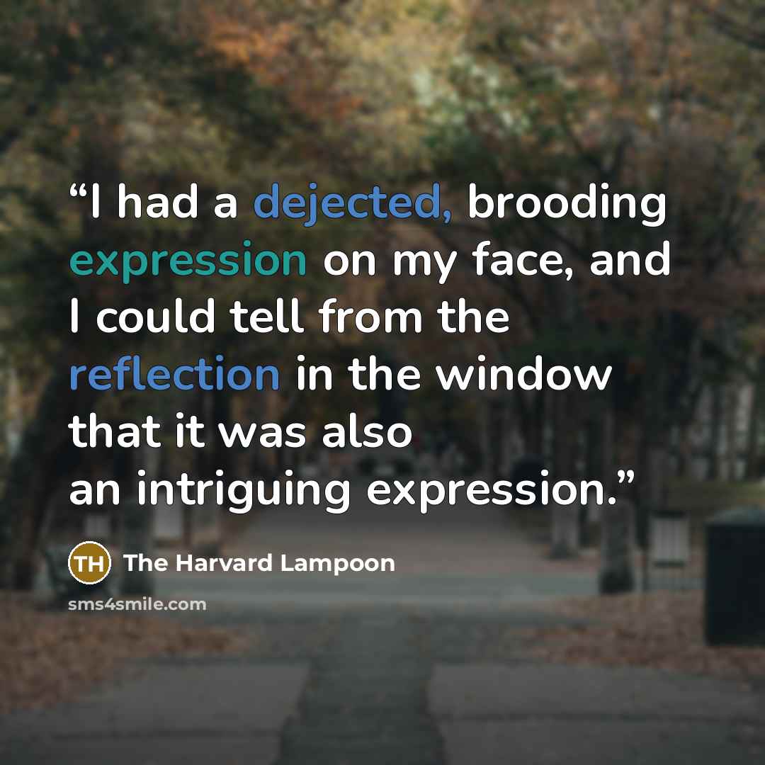 “I had a dejected, brooding expression on my face, and I could tell from the reflection in the window that it was also an intriguing expression.” quote by The Harvard Lampoon