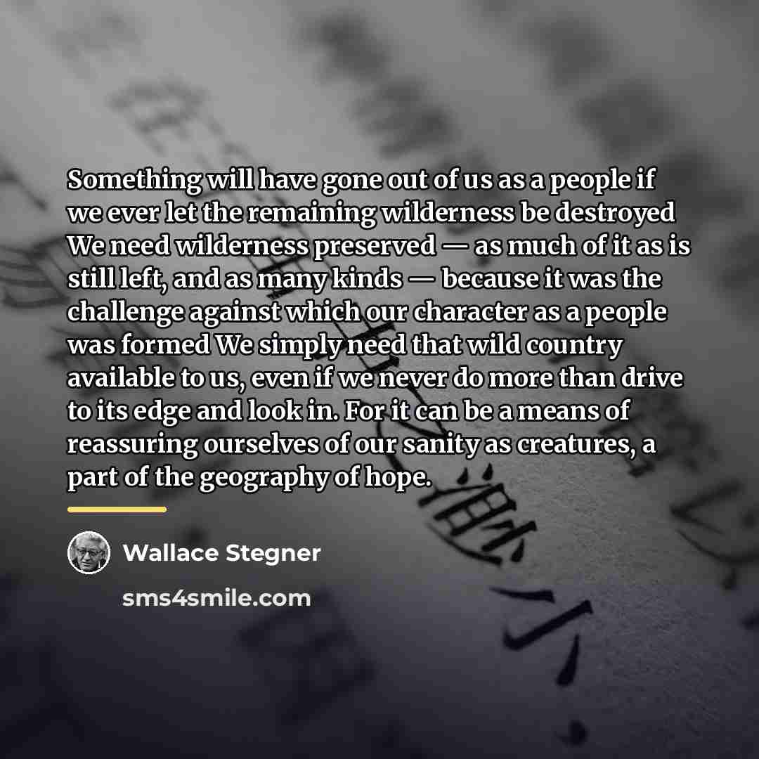 “Something will have gone out of us as a people…” quote by Wallace Stegner