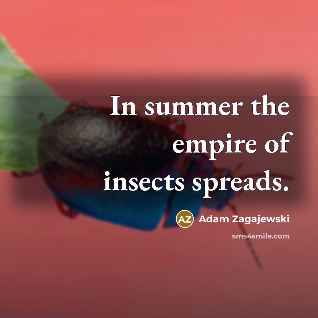 “In summer the empire of insects spreads.…” quote by Adam Zagajewski