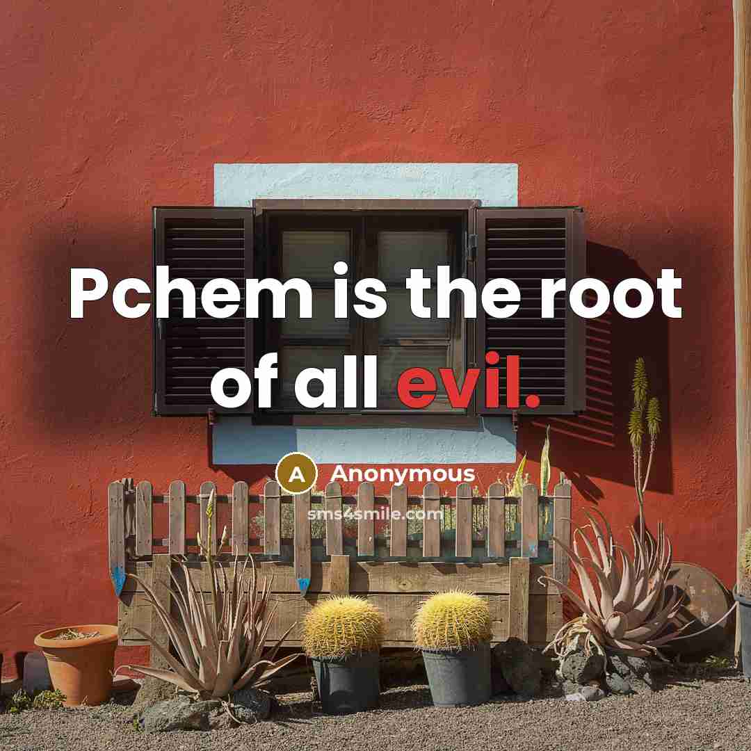 “Pchem is the root of all evil.” quote by Anonymous