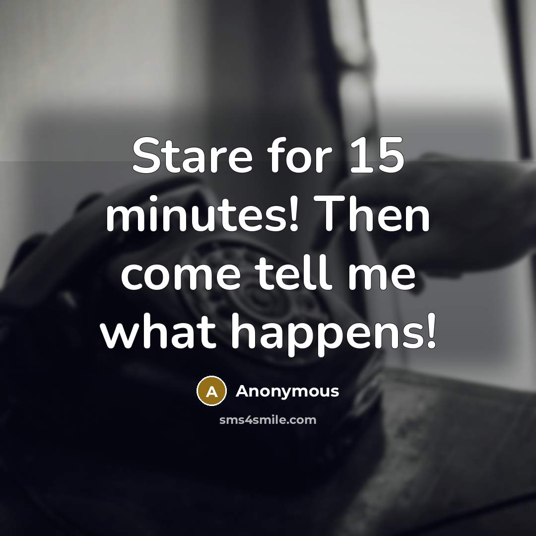 “Stare for 15 minutes! Then come tell me what happens!” quote by Anonymous