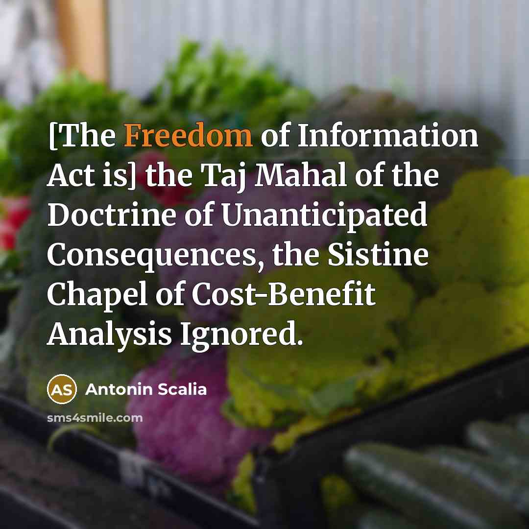 “[The Freedom of Information Act is] the Taj Mahal of…” quote by Antonin Scalia