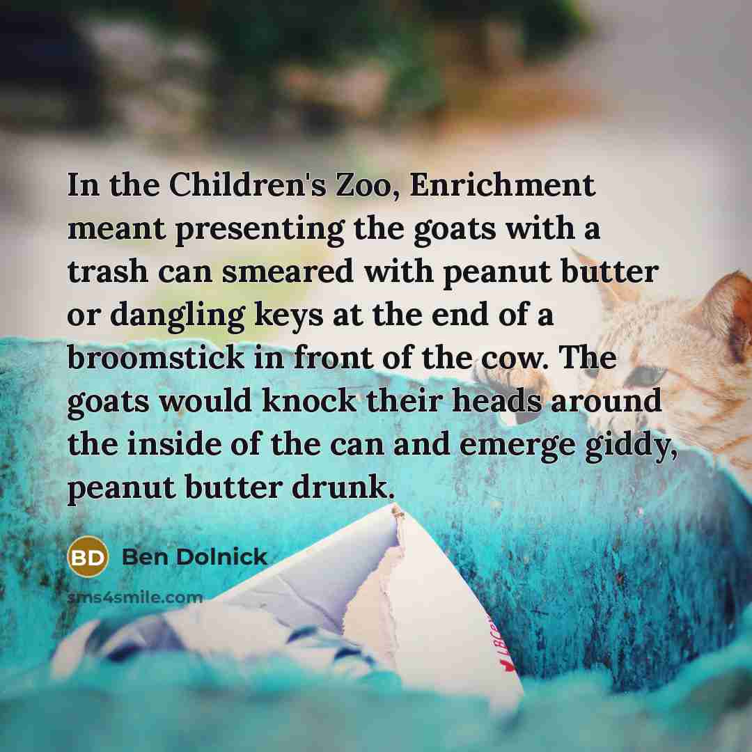 “In the Children's Zoo, Enrichment meant presenting the goats with…” quote by Ben Dolnick