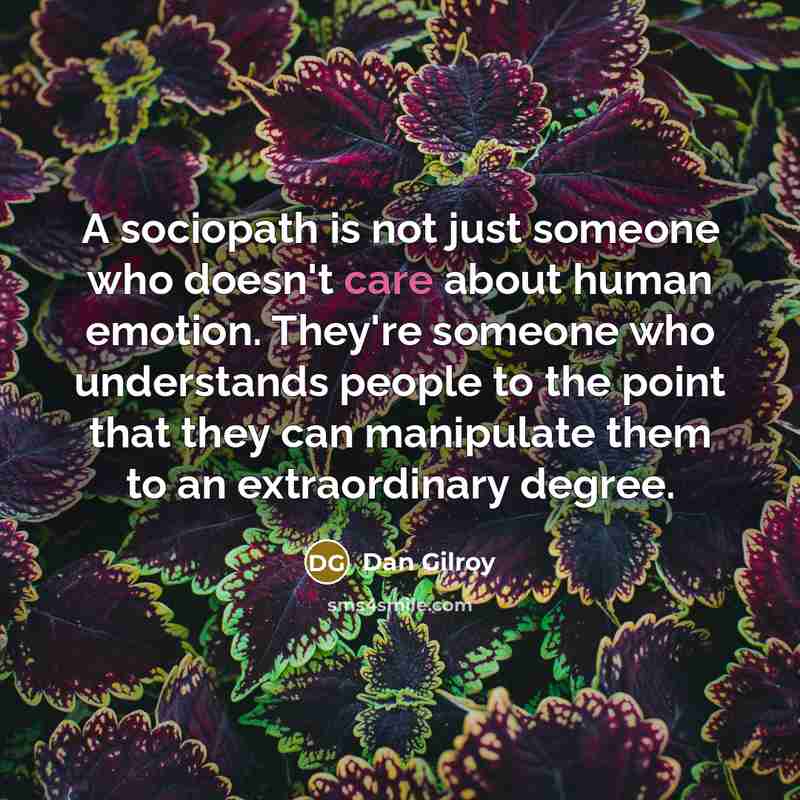 “A sociopath is not just someone who doesn't care about…” quote by Dan Gilroy