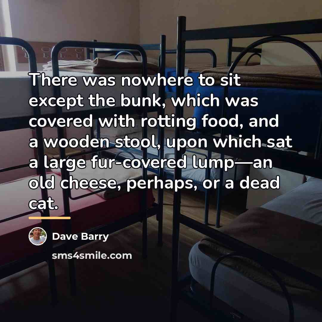 “There was nowhere to sit except the bunk, which was…” quote by Dave Barry