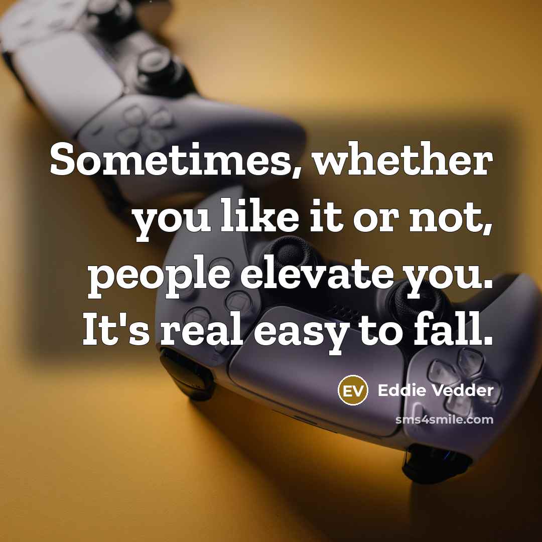 “Sometimes, whether you like it or not, people elevate you.…” quote by Eddie Vedder