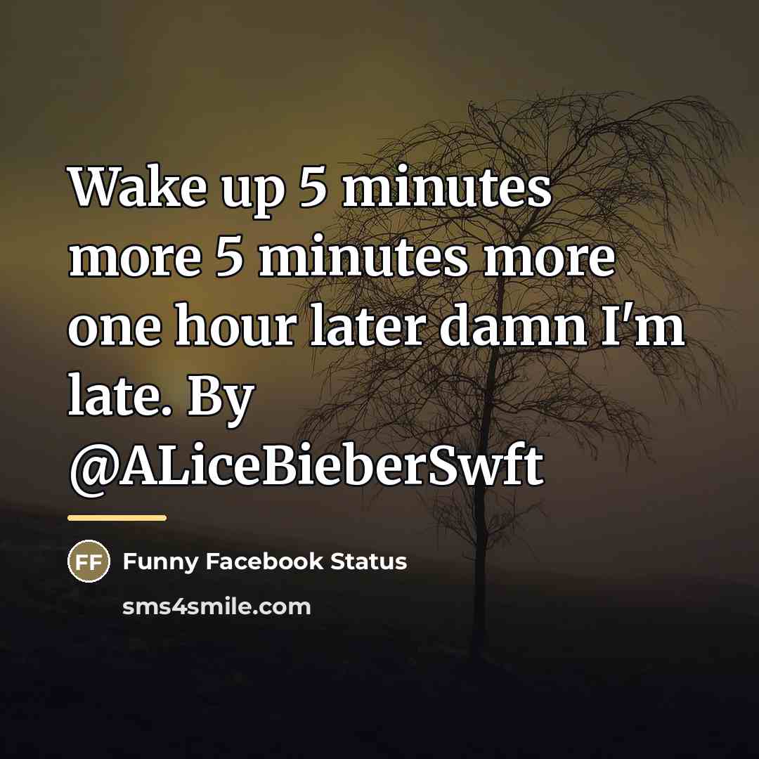 “Wake up 5 minutes more 5 minutes more one hour…” quote by Funny Facebook Status