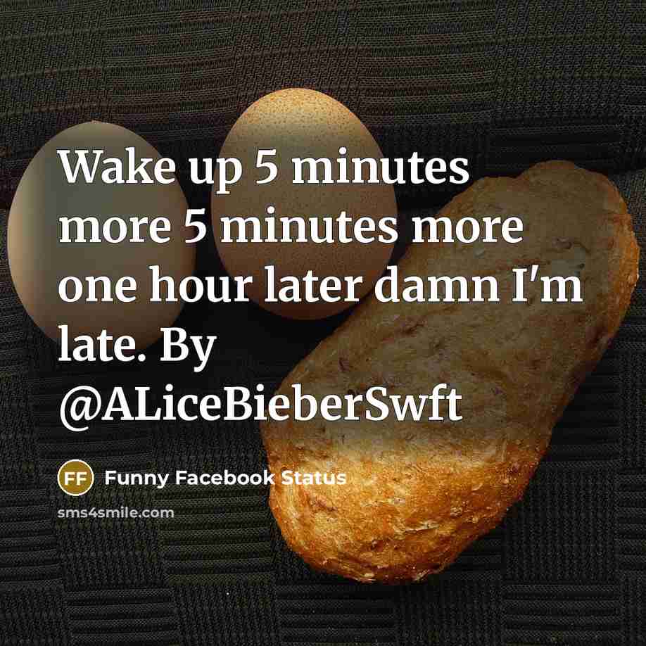 “Wake up 5 minutes more 5 minutes more one hour later damn I'm late. By @ALiceBieberSwft” quote by Funny Facebook Status