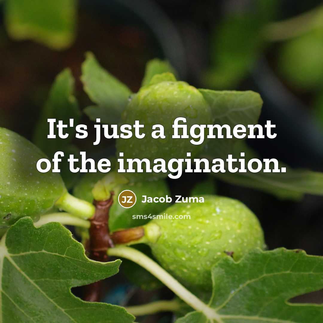 “It's just a figment of the imagination.…” quote by Jacob Zuma