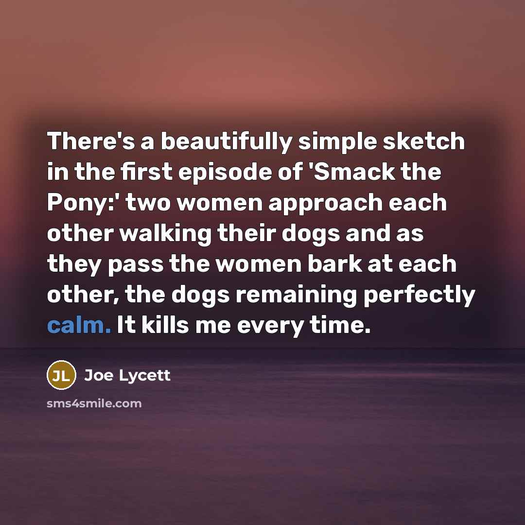“There's a beautifully simple sketch in the first episode of…” quote by Joe Lycett