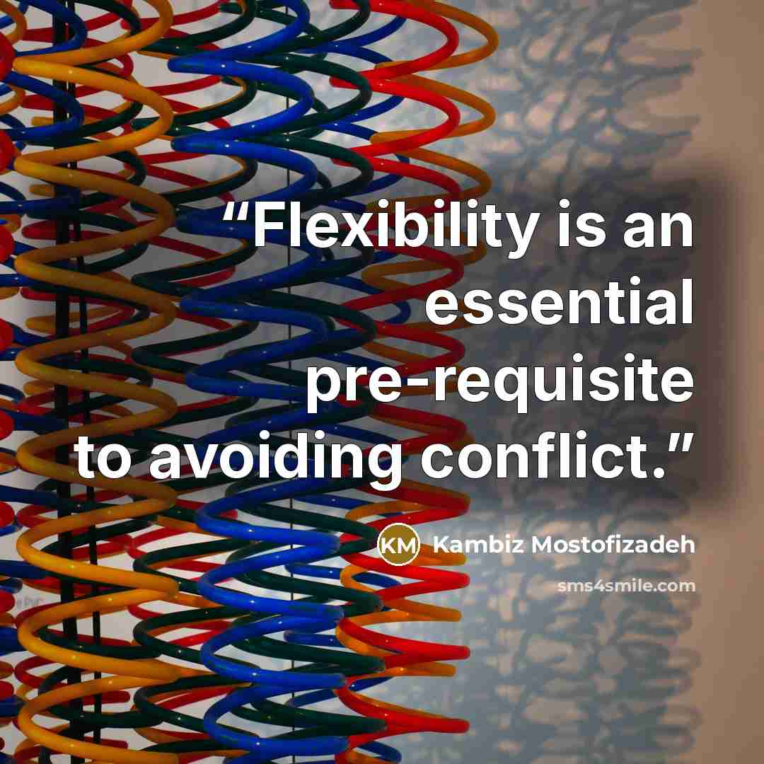 “Flexibility is an essential pre-requisite to avoiding conflict.” quote by Kambiz Mostofizadeh