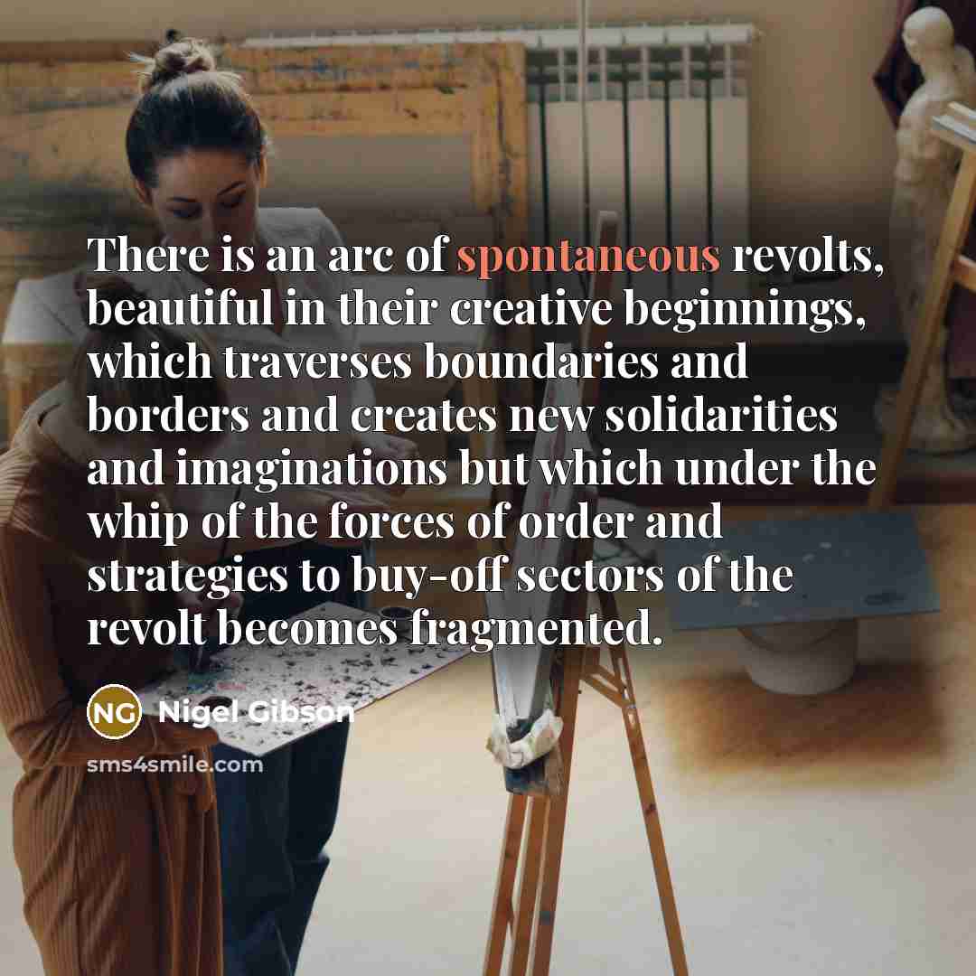 “There is an arc of spontaneous revolts, beautiful in their…” quote by Nigel Gibson