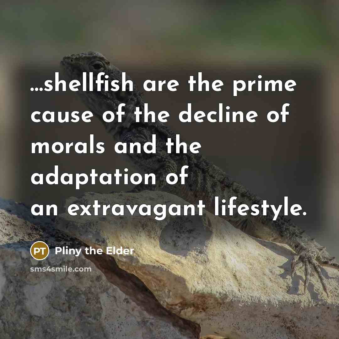 “....shellfish are the prime cause of the decline of morals…” quote by Pliny the Elder