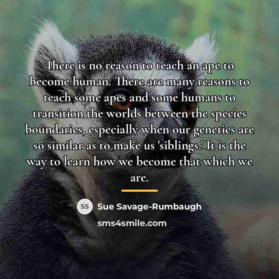 “There is no reason to teach an ape to become…” quote by Sue Savage-Rumbaugh