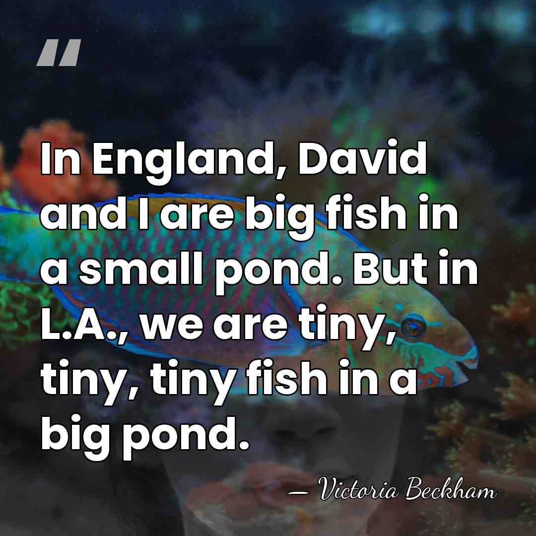 In England, David and I are big fish in a small pond.&hellip; - Victoria Beckham
