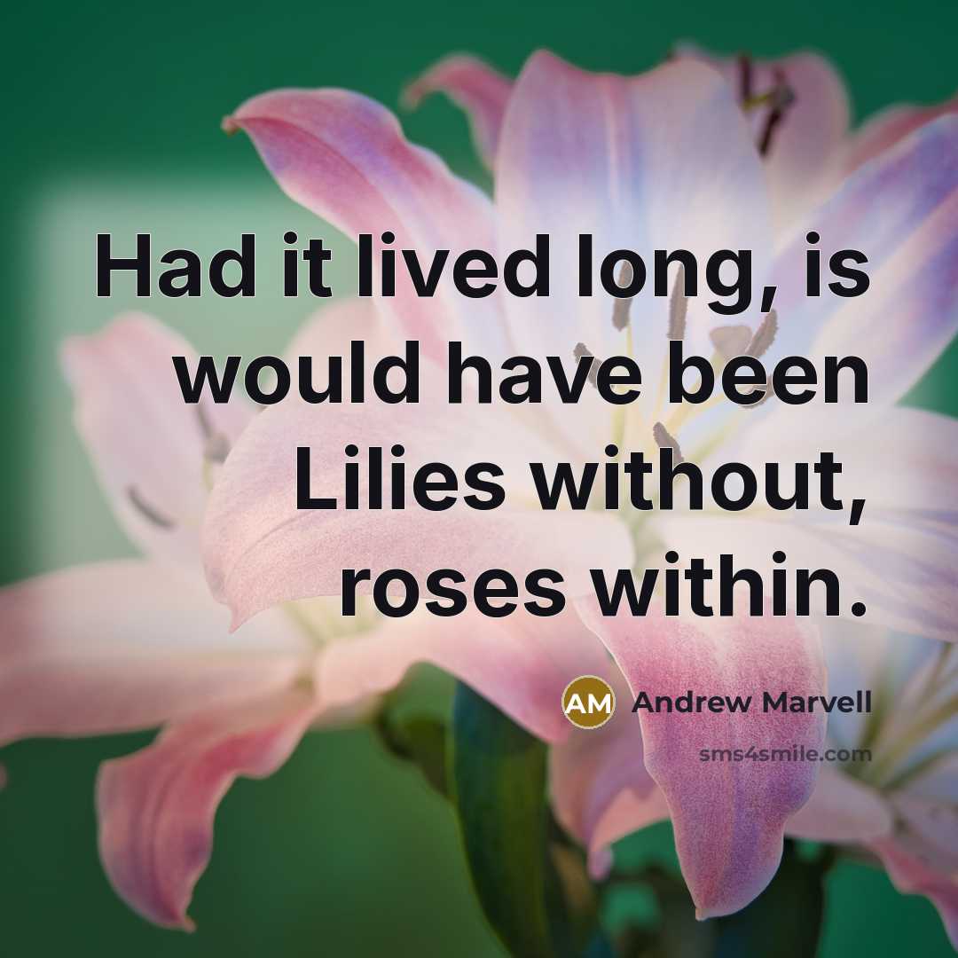 “Had it lived long, is would have been Lilies without,…” quote by Andrew Marvell