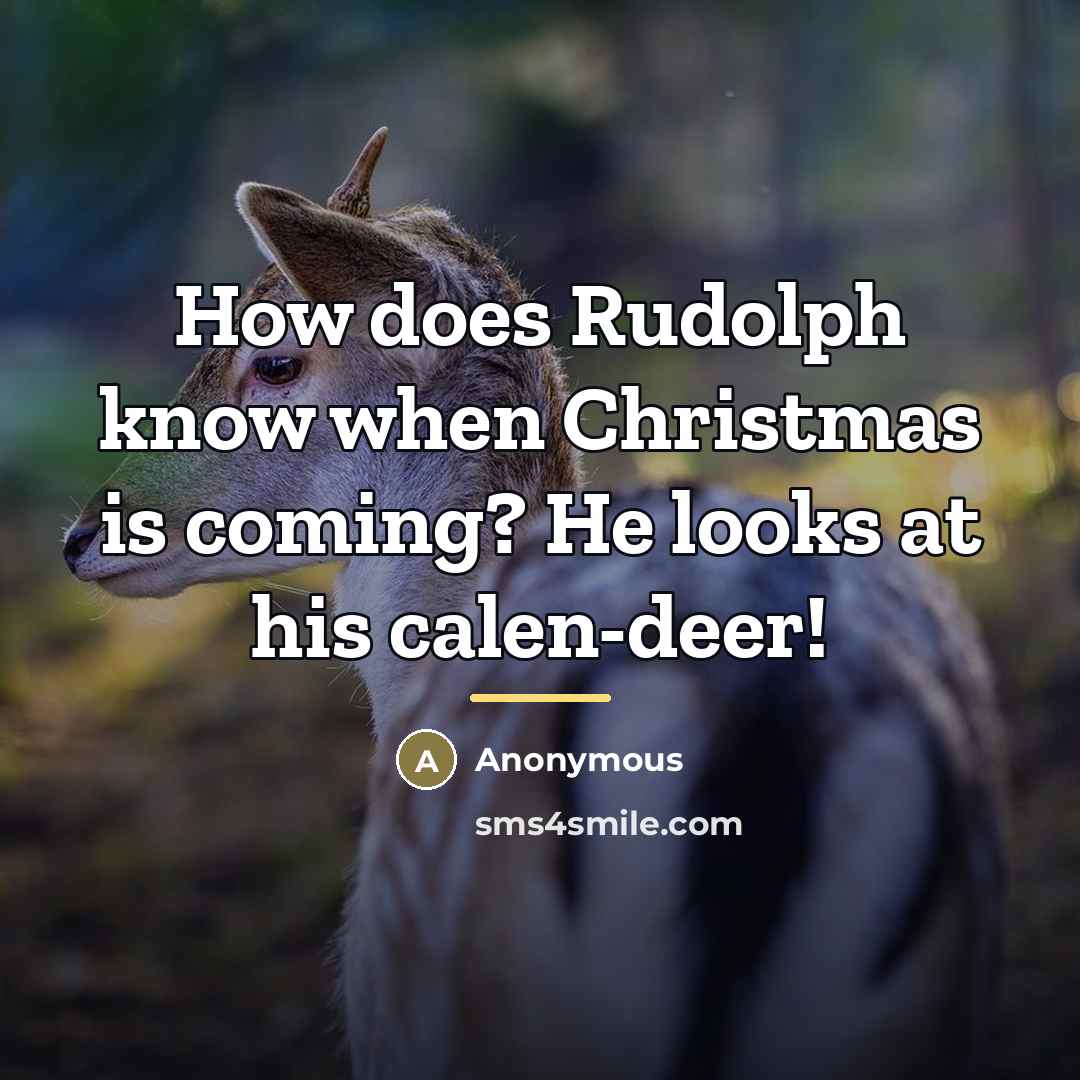 “How does Rudolph know when Christmas is coming? He looks…” quote by Anonymous