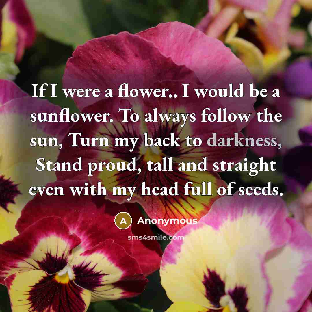 “If I were a flower.. I would be a sunflower.…” quote by Anonymous