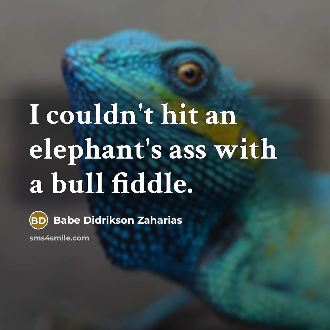 “I couldn't hit an elephant's ass with a bull fiddle.” quote by Babe Didrikson Zaharias