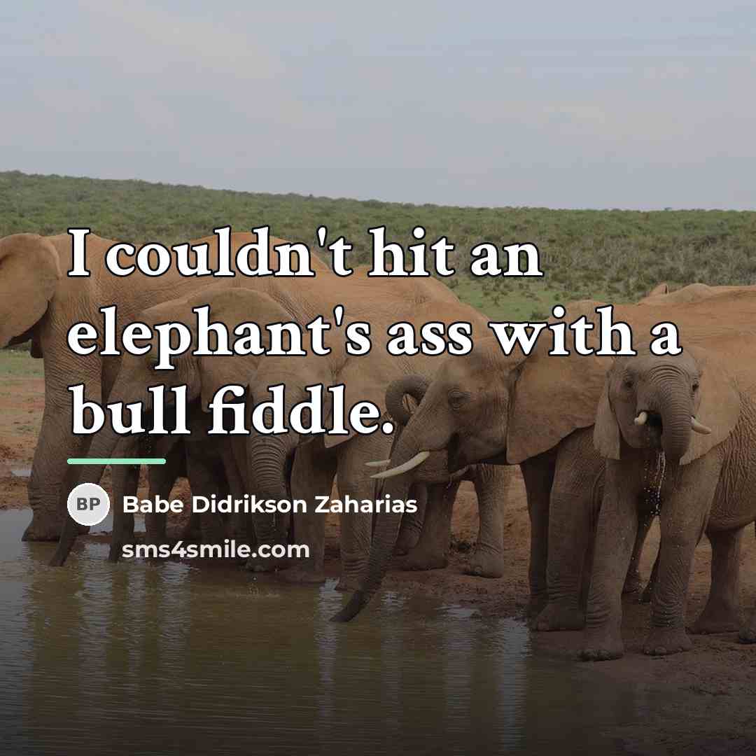 “I couldn't hit an elephant's ass with a bull fiddle.…” quote by Babe Didrikson Zaharias