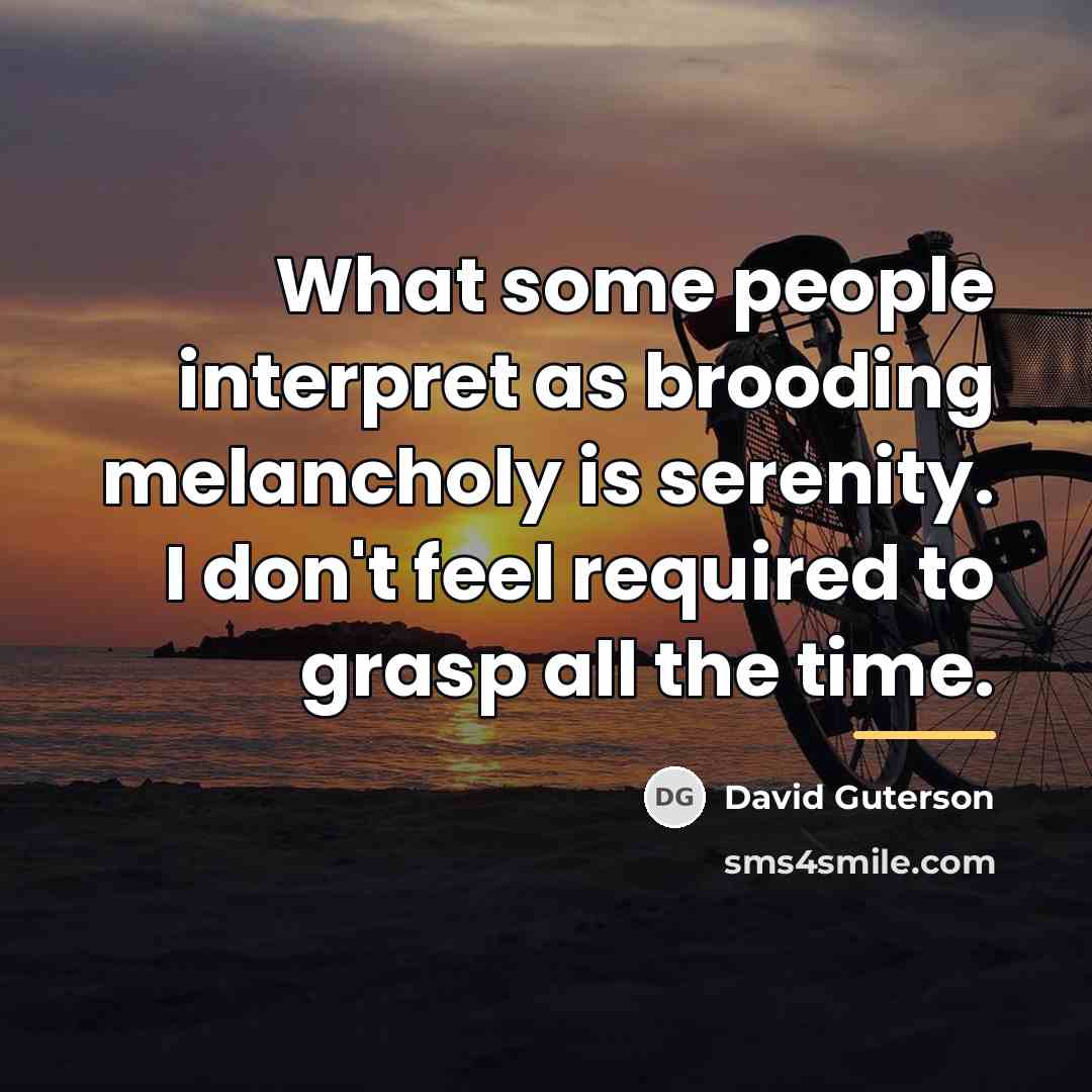“What some people interpret as brooding melancholy is serenity. I…” quote by David Guterson