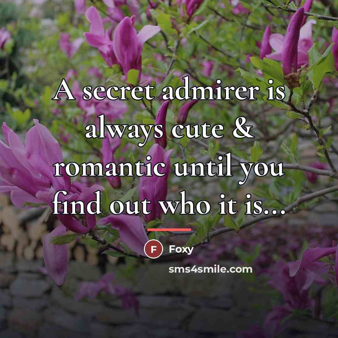 “A secret admirer is always cute & romantic until you…” quote by Foxy