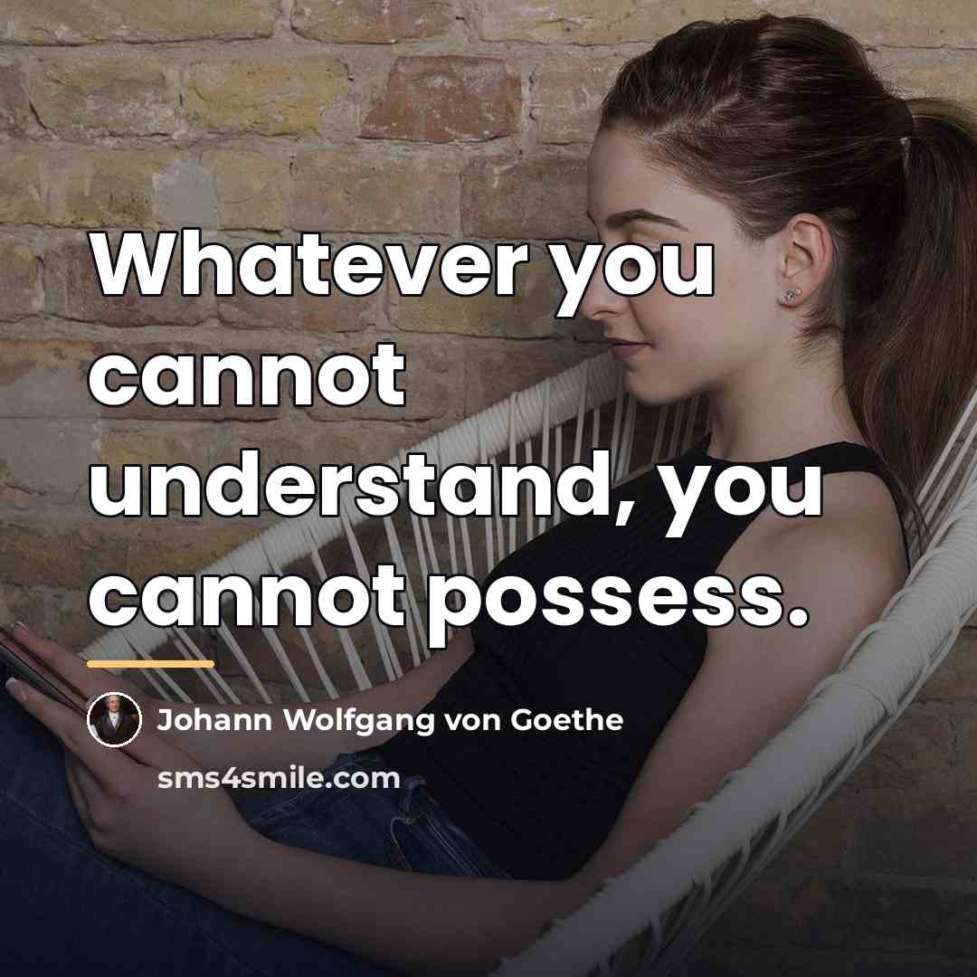 “Whatever you cannot understand, you cannot possess.…” quote by Johann Wolfgang von Goethe