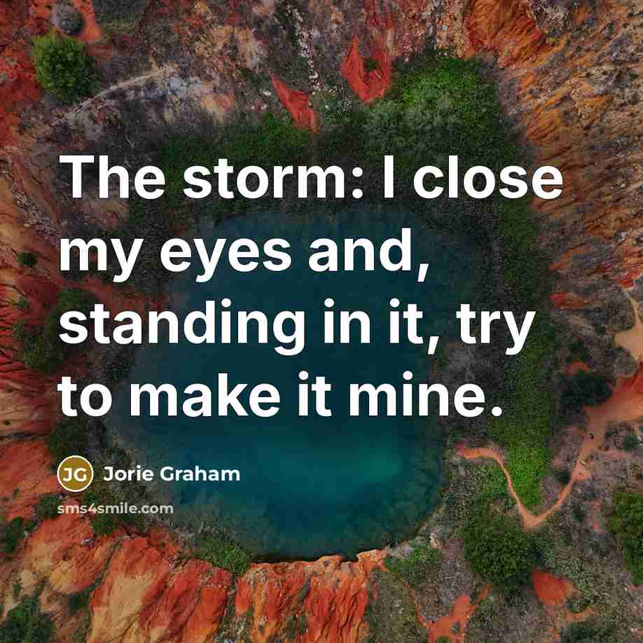 “The storm: I close my eyes and, standing in it,…” quote by Jorie Graham