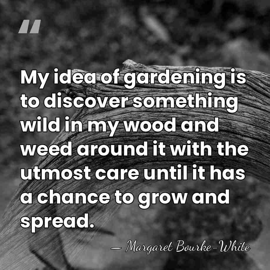 My idea of gardening is to discover something wild in my wood&hellip; - Margaret Bourke-White
