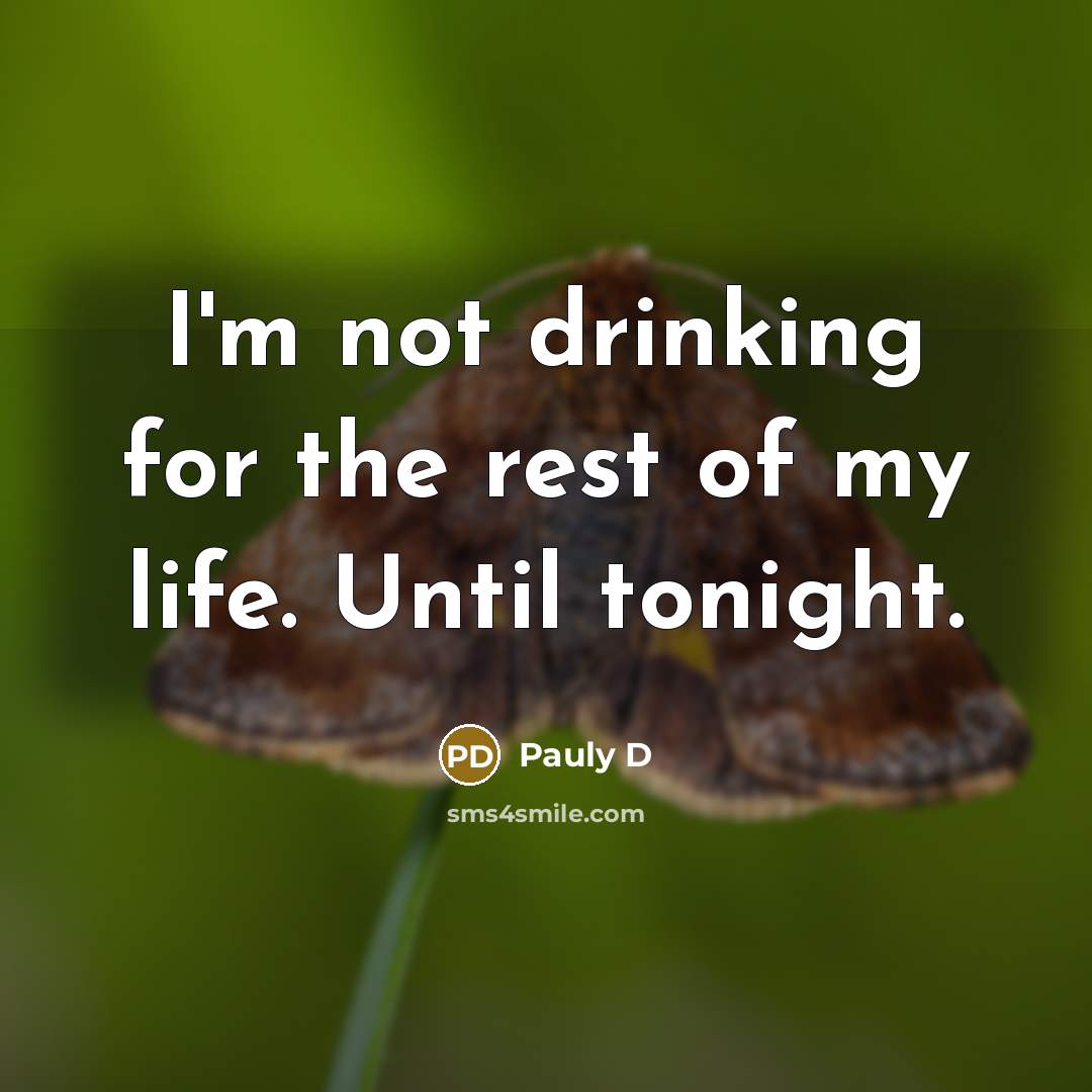 “I'm not drinking for the rest of my life. Until…” quote by Pauly D