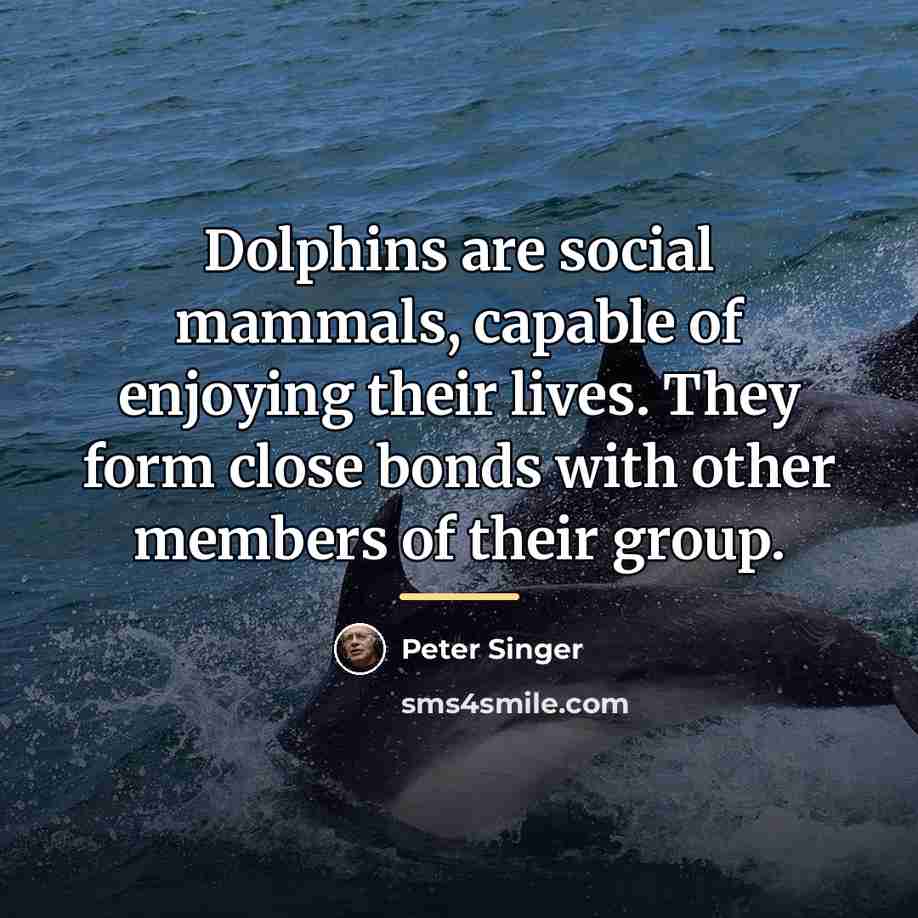 “Dolphins are social mammals, capable of enjoying their lives. They…” quote by Peter Singer