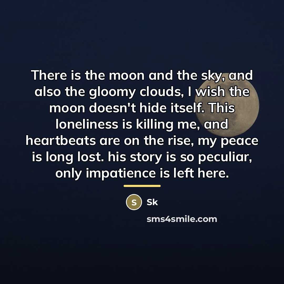“There is the moon and the sky, and also the…” quote by SK