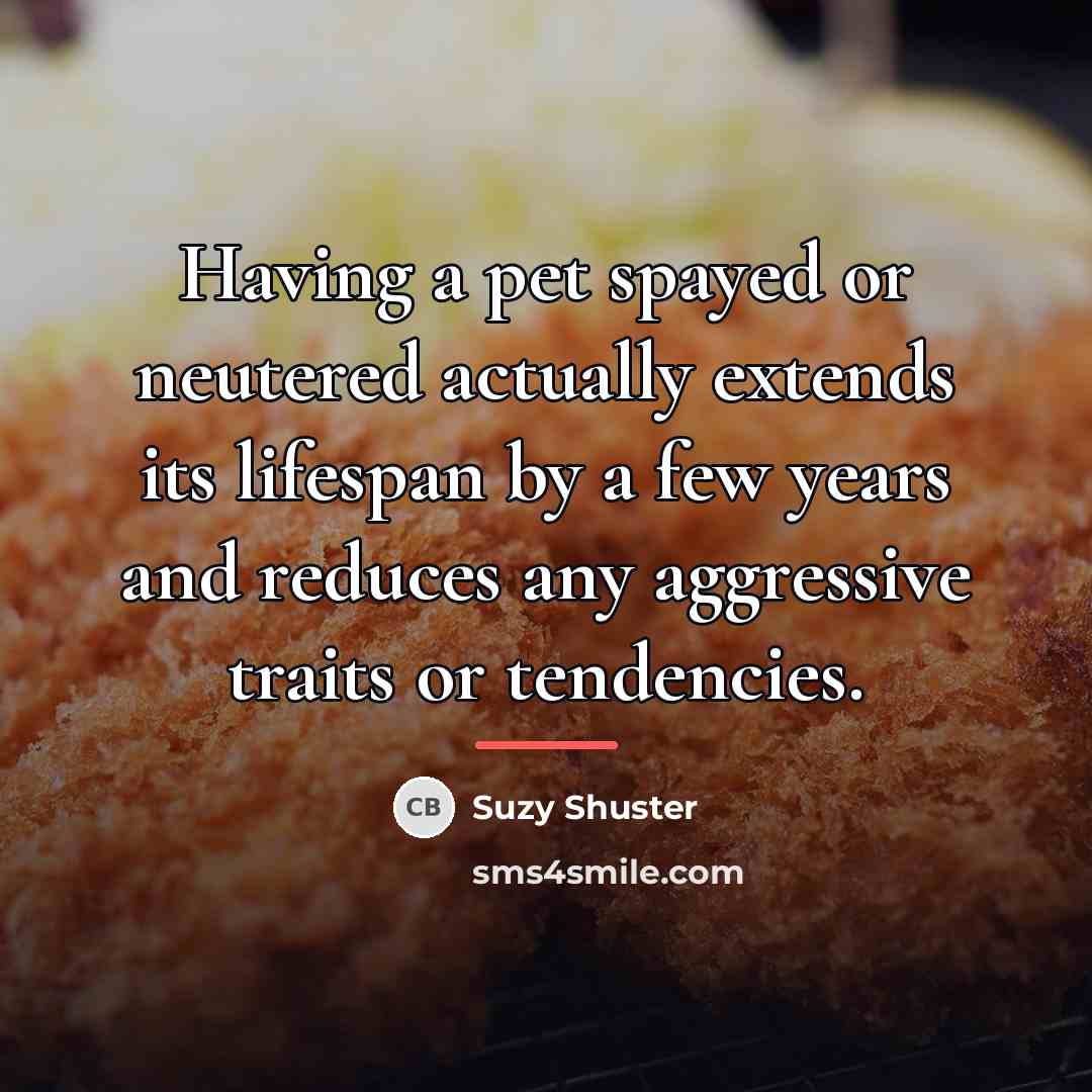“Having a pet spayed or neutered actually extends its lifespan…” quote by Suzy Shuster